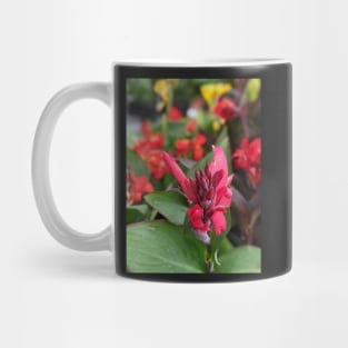 Pink Flower Blooming in Large Leaves 2 Mug